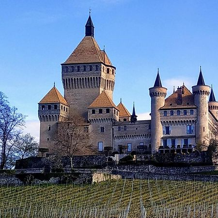 Guest House La Sereine Romanel-sur-Morges エクステリア 写真