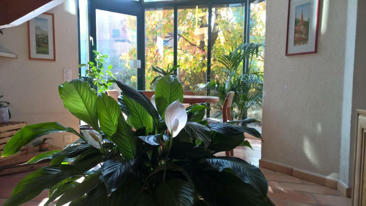 Guest House La Sereine Romanel-sur-Morges エクステリア 写真